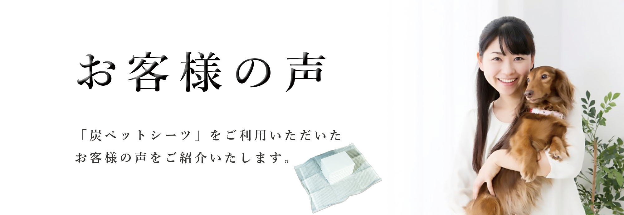 お客様の声 日優犬高松をご利用いただいたお客様の声をご紹介