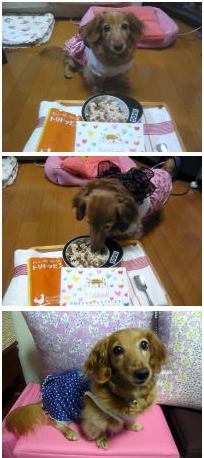 国産ドッグフード「トリトッピン」お客様の声