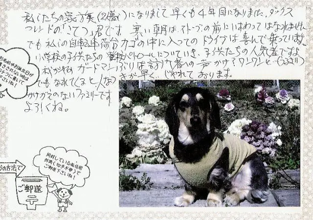 「日優犬高松」へのお客様の声