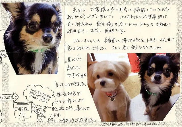 「日優犬高松」へのお客様の声