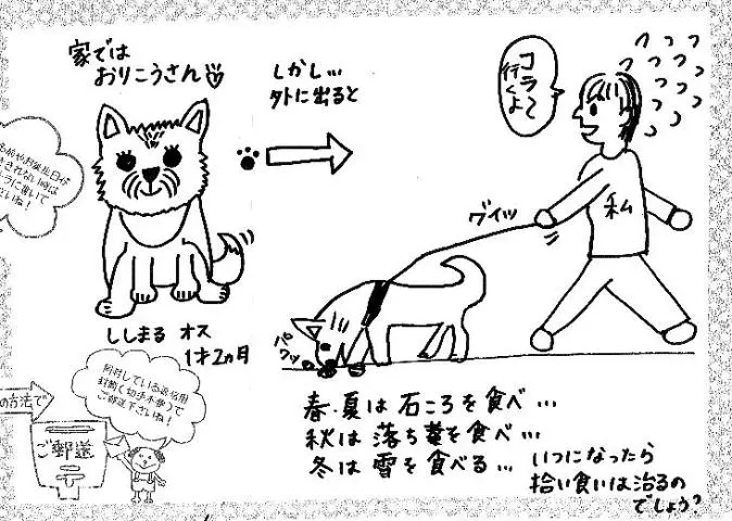 「日優犬高松」へのお客様の声