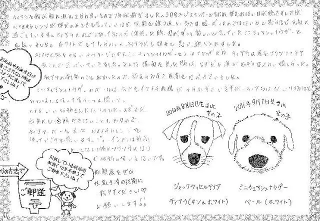 「日優犬高松」へのお客様の声