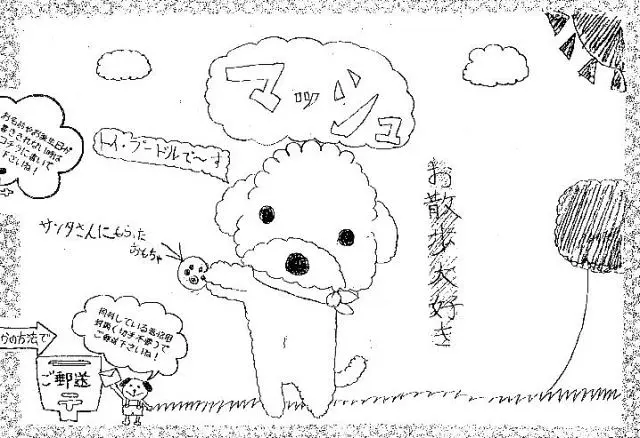 「日優犬高松」へのお客様の声