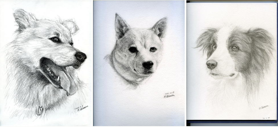 「日優犬高松」へのお客様の声