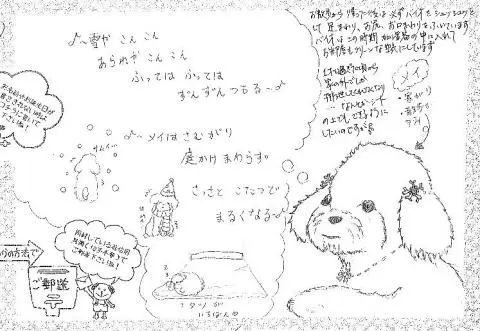 「日優犬高松」へのお客様の声