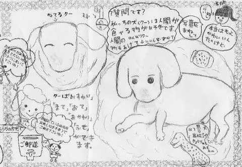 「日優犬高松」へのお客様の声