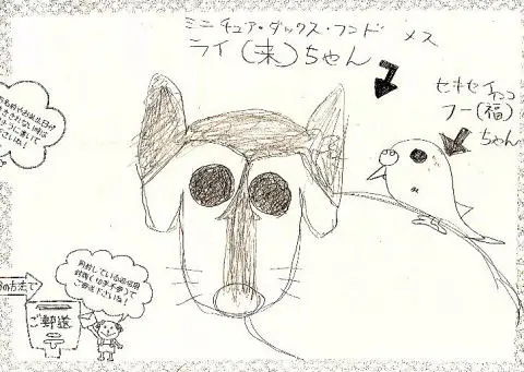 「日優犬高松」へのお客様の声