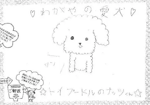 「日優犬高松」へのお客様の声