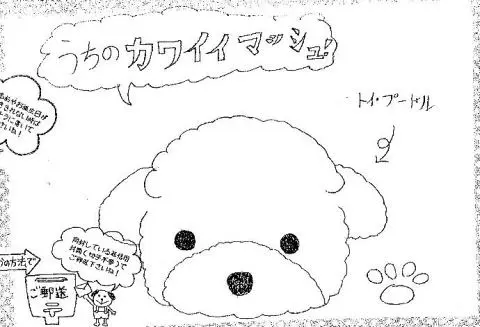 「日優犬高松」へのお客様の声