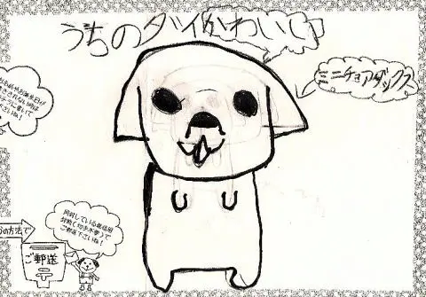 「日優犬高松」へのお客様の声