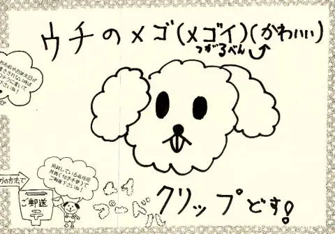 「日優犬高松」へのお客様の声