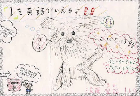 「日優犬高松」へのお客様の声