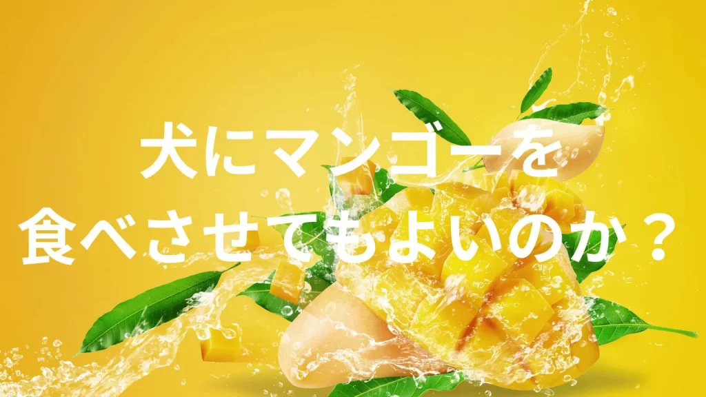 犬にマンゴーを食べさせても大丈夫?与えてよい量や注意点を解説