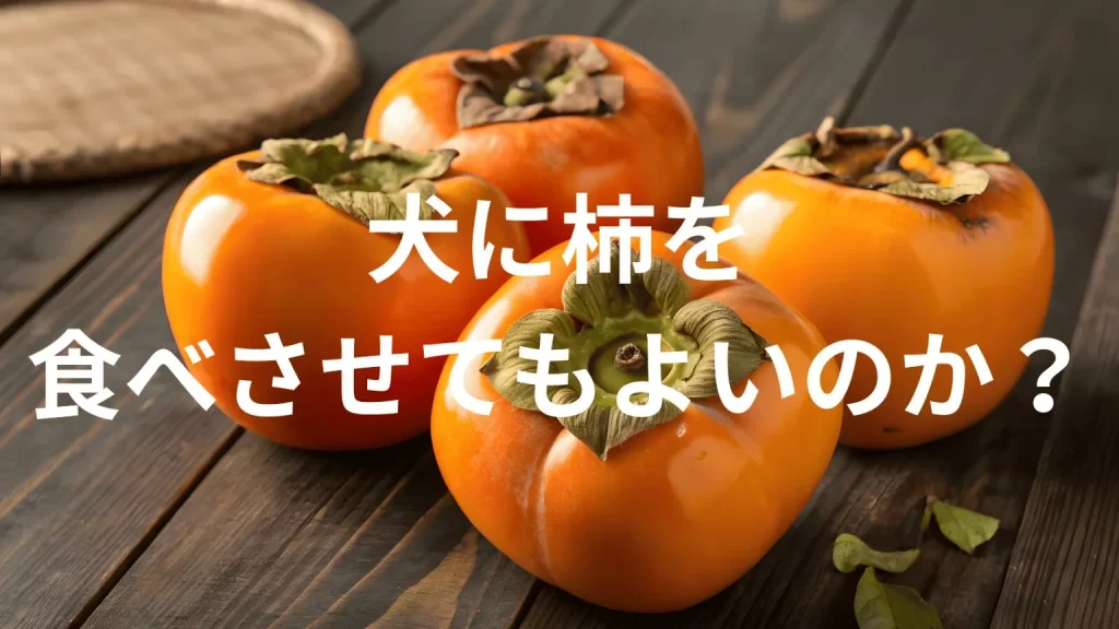 犬に柿(かき)を食べさせても大丈夫?犬は柿を食べていい?与える際の注意点を解説