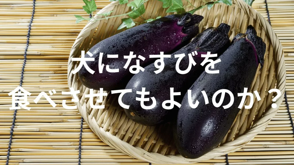 犬になすびを食べさせても大丈夫?犬はなすびを食べていい?与える際の注意点を解説