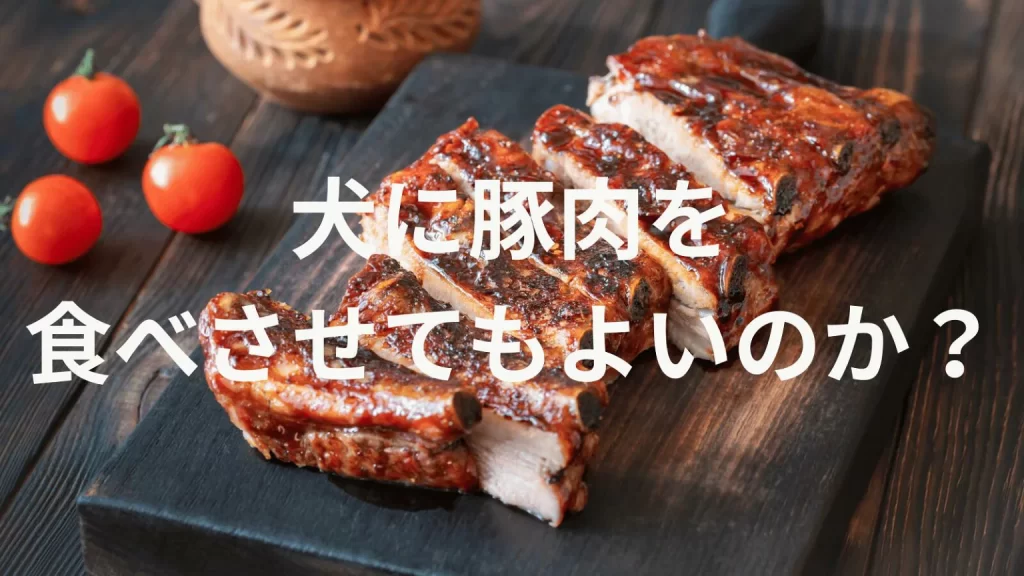 犬に豚肉（ぶたにく）を食べさせても大丈夫？犬は豚肉を食べていい？与える際の注意点を解説