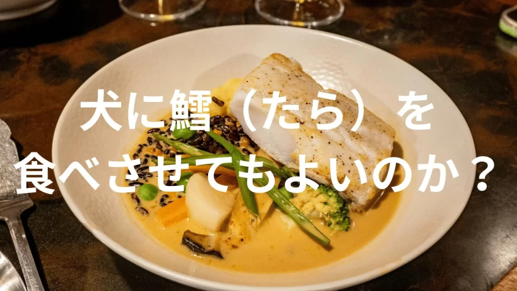 犬に鱈（タラ）を食べさせても大丈夫？犬は鱈（タラ）を食べていい？与える際の注意点を解説