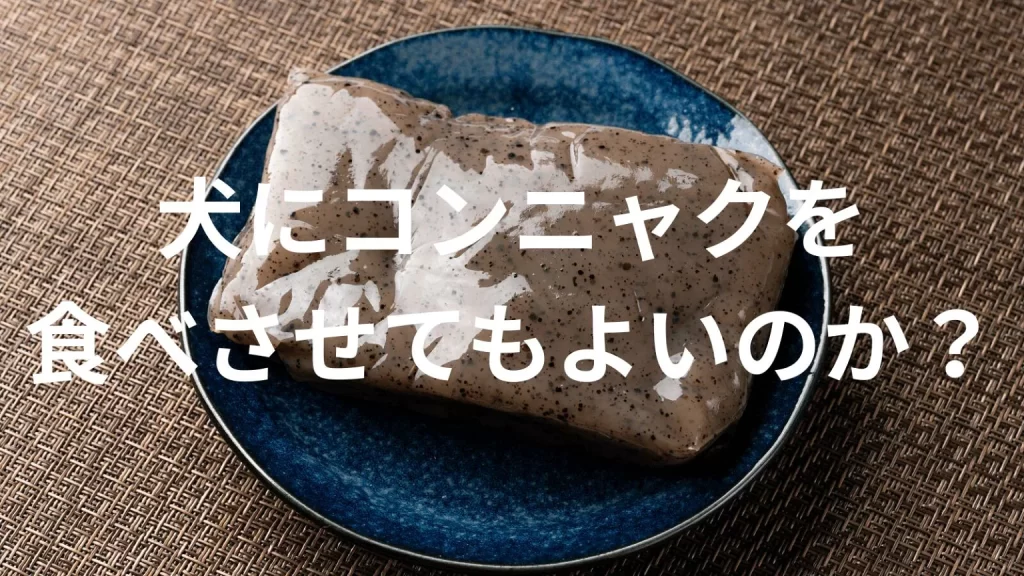 犬にこんにゃくを食べさせても大丈夫？犬はこんにゃくを食べていい？与える際の注意点を解説
