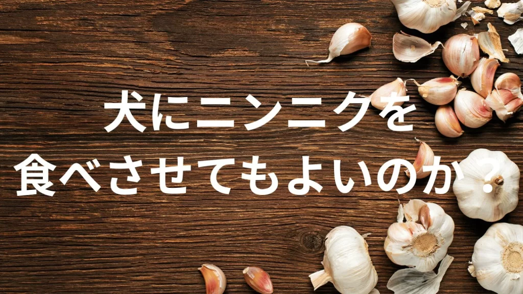 犬にニンニクを食べさせても大丈夫？犬はニンニクを食べていい？与える際の注意点を解説