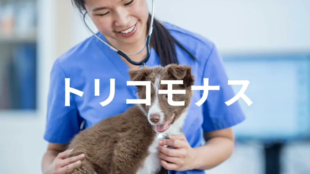 犬のトリコモナス症はどんな病気?なりやすい犬種は?症状・予防・治療方法を解説