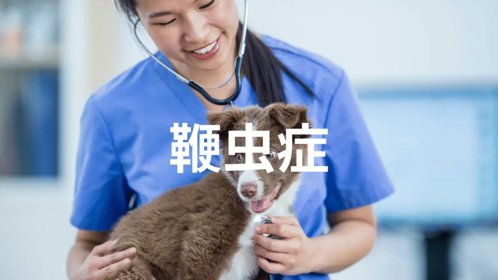 犬の鞭虫症はどんな病気?なりやすい犬種は?症状・予防・治療方法を解説