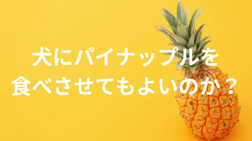 犬にパイナップルを食べさせても大丈夫？犬はパイナップルを食べていい？与える際の注意点を解説