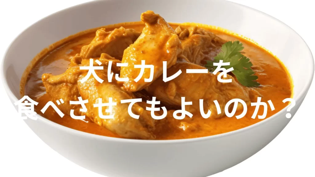 犬にカレーを食べさせても大丈夫?犬はカレーを食べていい?与える際の注意点を解説