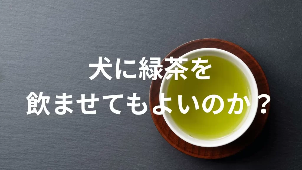 犬に緑茶を飲ませても大丈夫?犬は緑茶を飲んでいい?与える際の注意点を解説