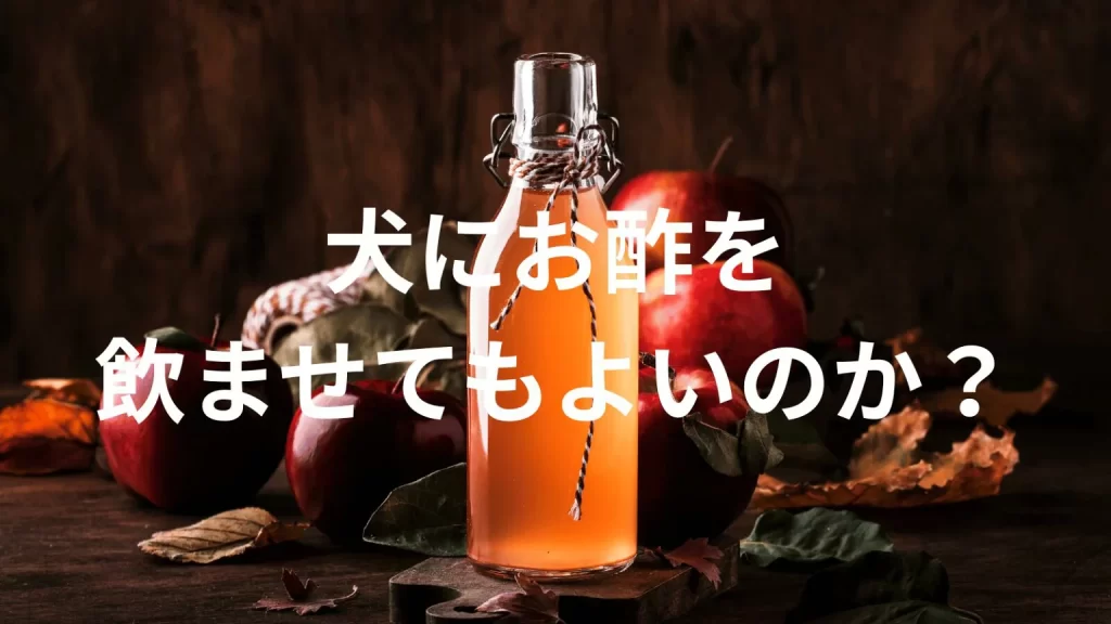 犬にお酢を飲ませても大丈夫？犬はお酢を飲んでいい？与える際の注意点を解説
