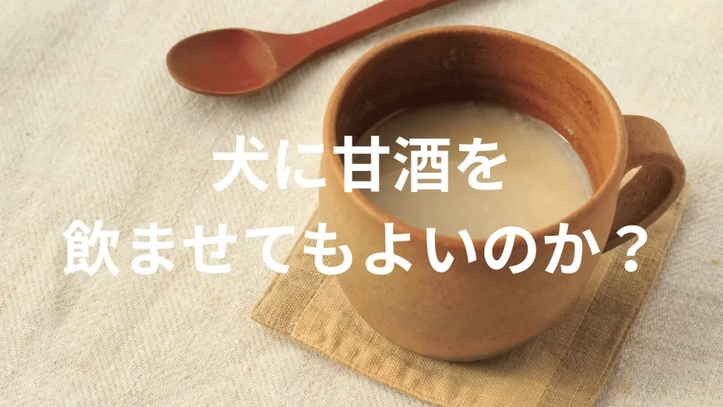 犬に甘酒を飲ませても大丈夫？犬は甘酒を飲んでいい？与える際の注意点を解説