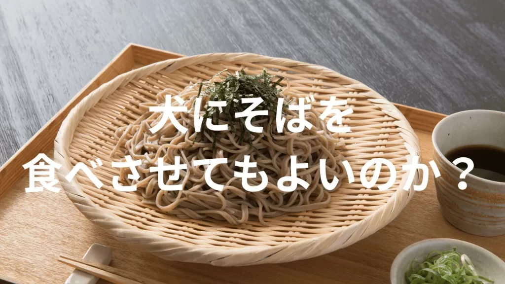 犬にそばを食べさせても大丈夫？犬はそばを食べていい？与える際の注意点を解説