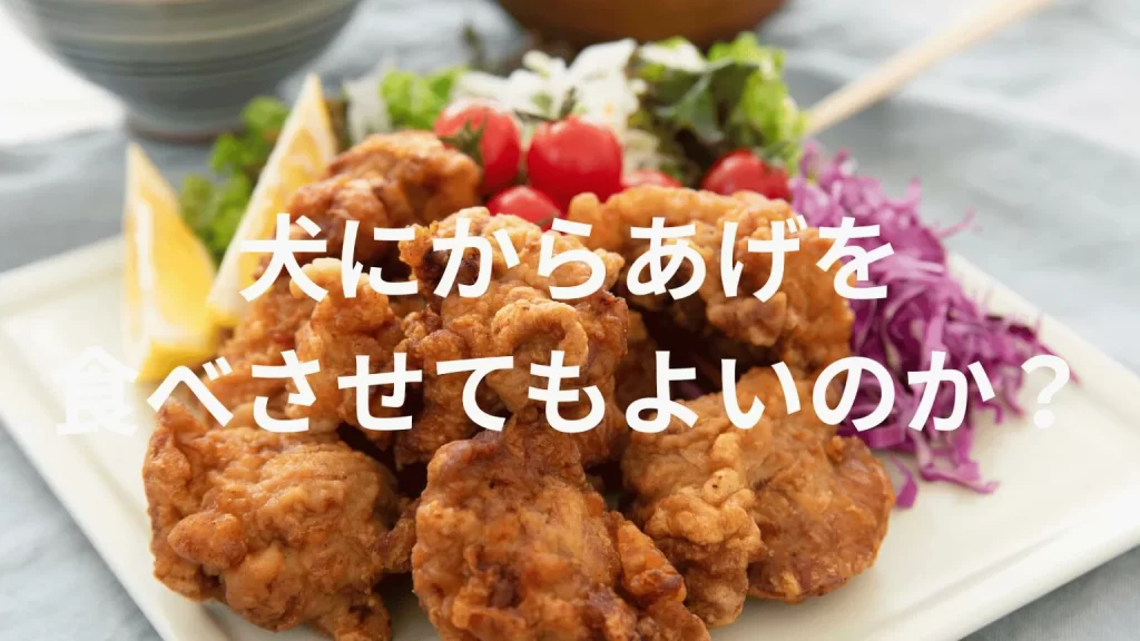 犬にからあげを食べさせても大丈夫?犬はからあげを食べていい?与える際の注意点を解説