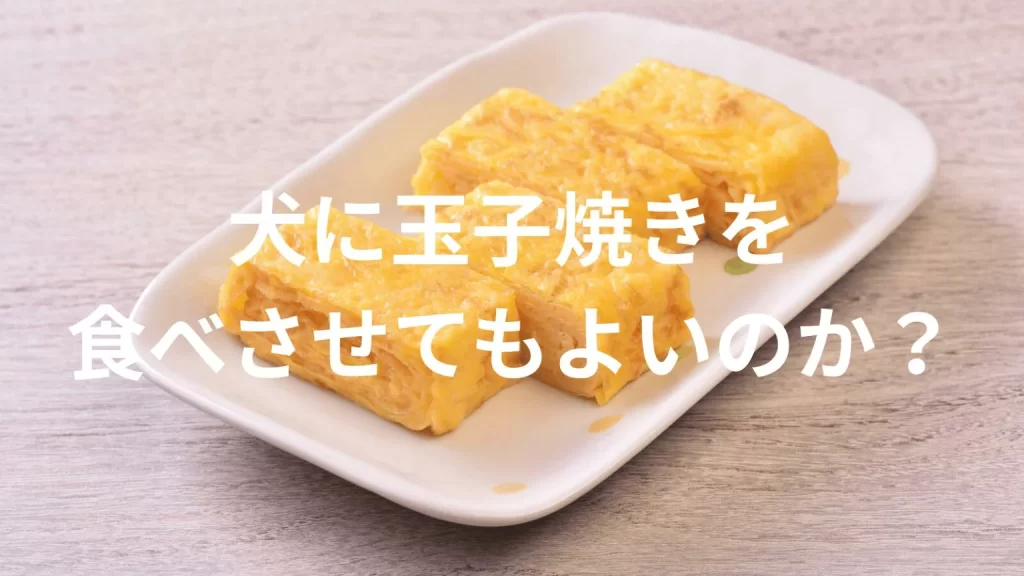 犬に玉子焼きを食べさせても大丈夫？犬は玉子焼きを食べていい？与える際の注意点を解説