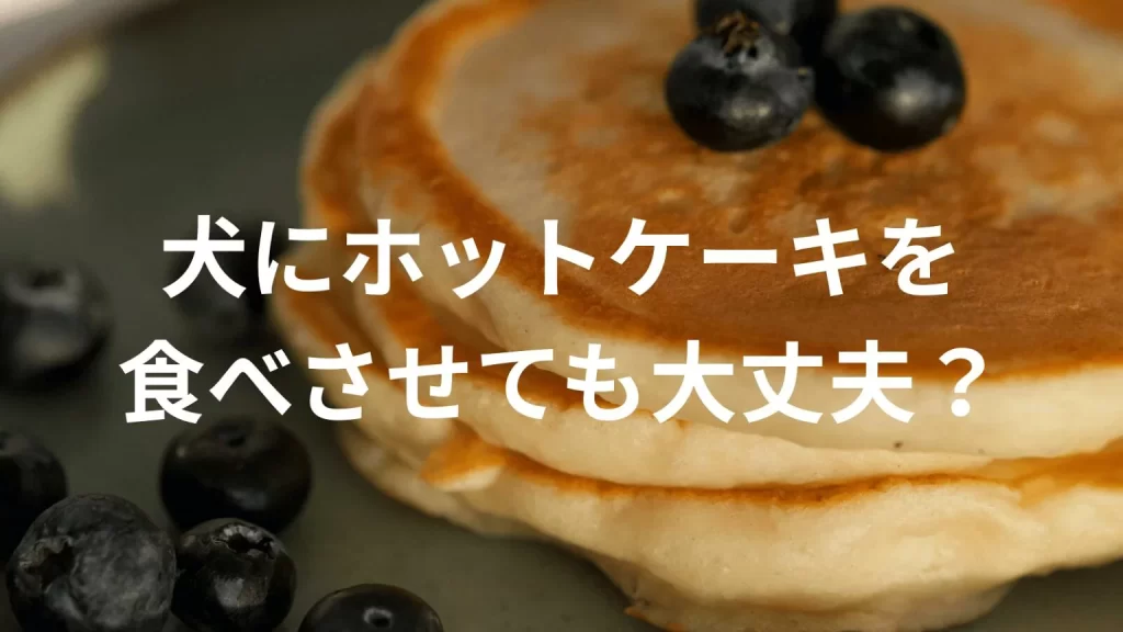 犬にホットケーキを食べさせても大丈夫?犬はホットケーキを食べていい?与える際の注意点を解説