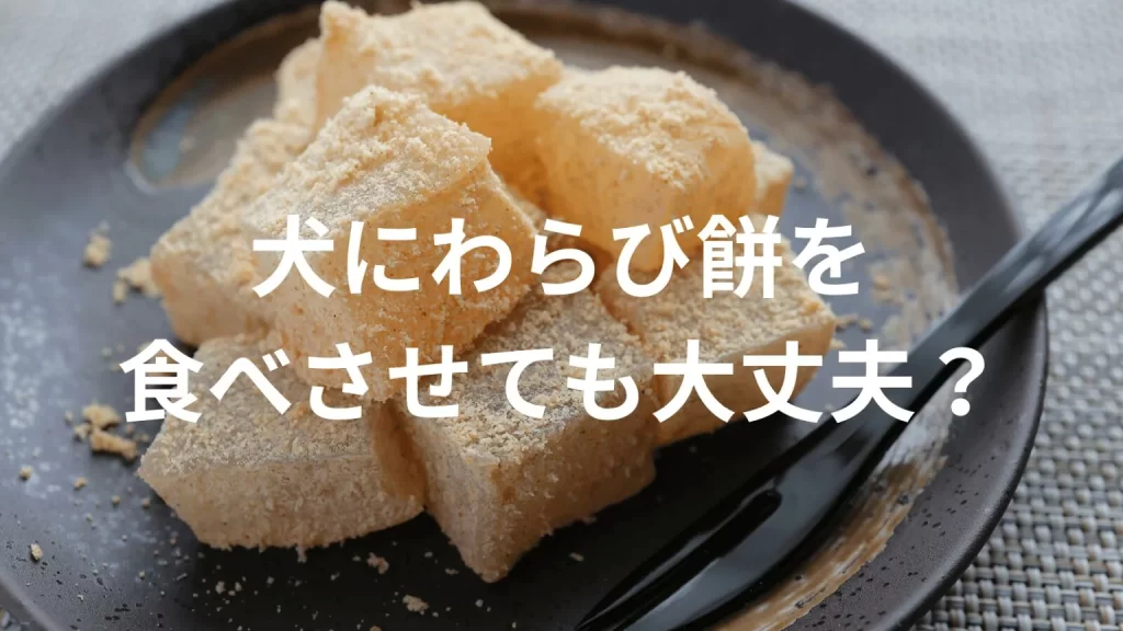 犬にわらび餅を食べさせても大丈夫？犬はわらび餅を食べていい？与える際の注意点を解説