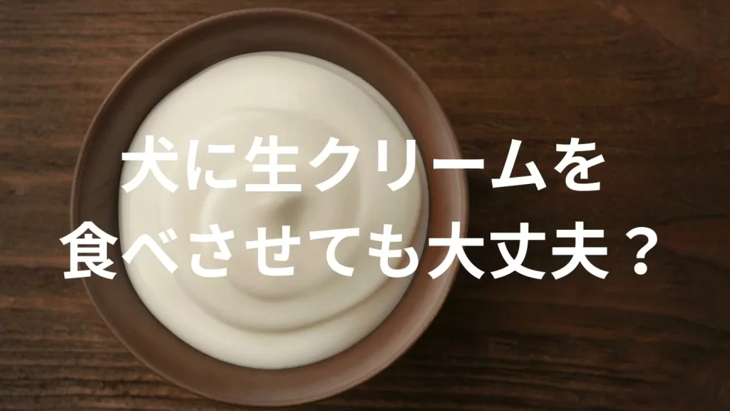 犬に生クリームを食べさせても大丈夫?犬は生クリームを食べていい?与える際の注意点を解説