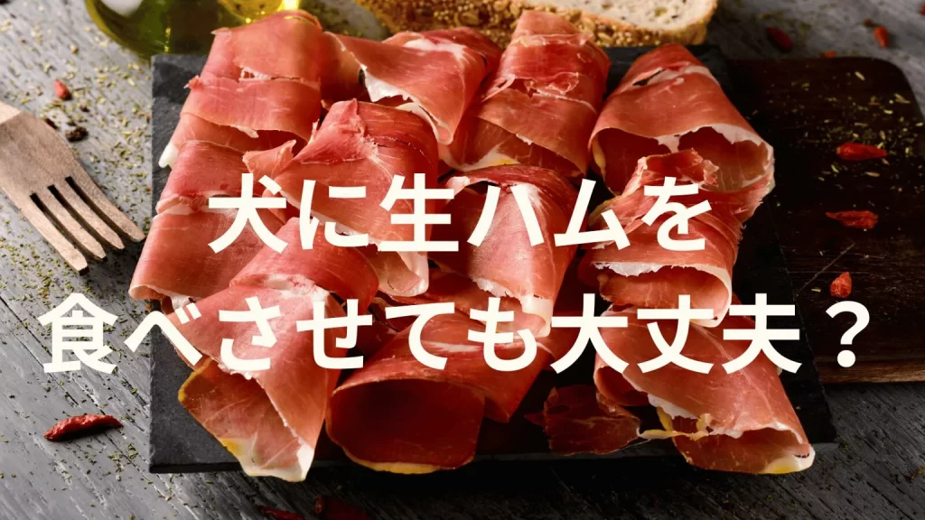 犬に生ハムを食べさせても大丈夫？犬は生ハムを食べていい？与える際の注意点を解説