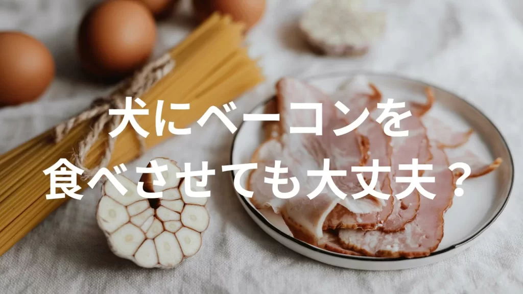 犬にベーコンを食べさせても大丈夫？犬はベーコンを食べていい？与える際の注意点を解説