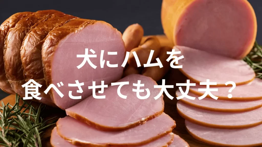 犬にハムを食べさせても大丈夫？犬はハムを食べていい？与える際の注意点を解説