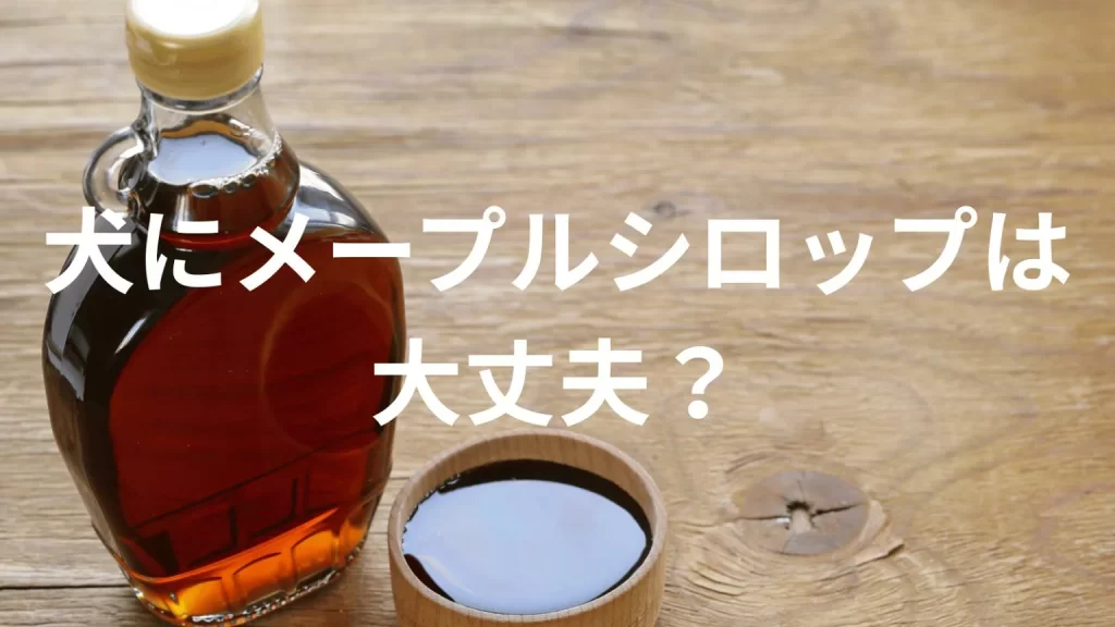 犬にメープルシロップを食べさせても大丈夫?犬はメープルシロップを食べていい?与える際の注意点を解説