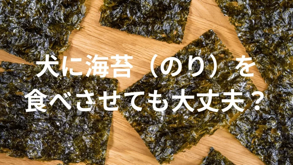 犬に海苔（のり）を食べさせても大丈夫？犬は海苔を食べていい？与える際の注意点を解説