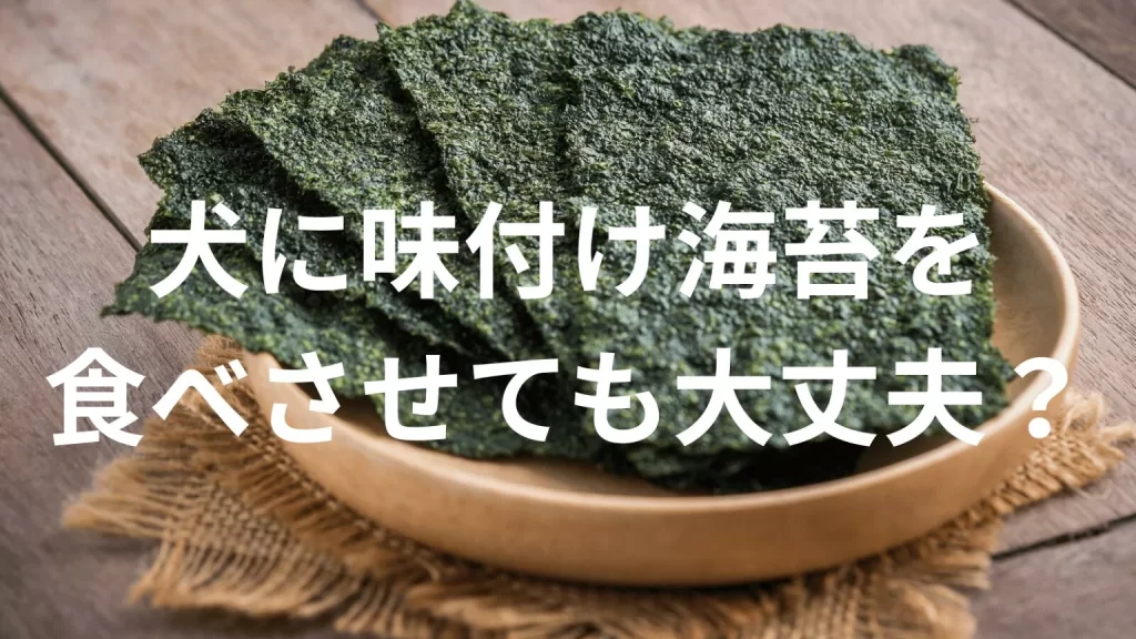 犬に味付け海苔を食べさせても大丈夫?犬は味付け海苔を食べていい?与える際の注意点を解説