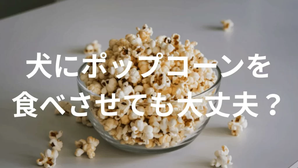 犬にポップコーンを食べさせても大丈夫?犬はポップコーンを食べていい?与える際の注意点を解説