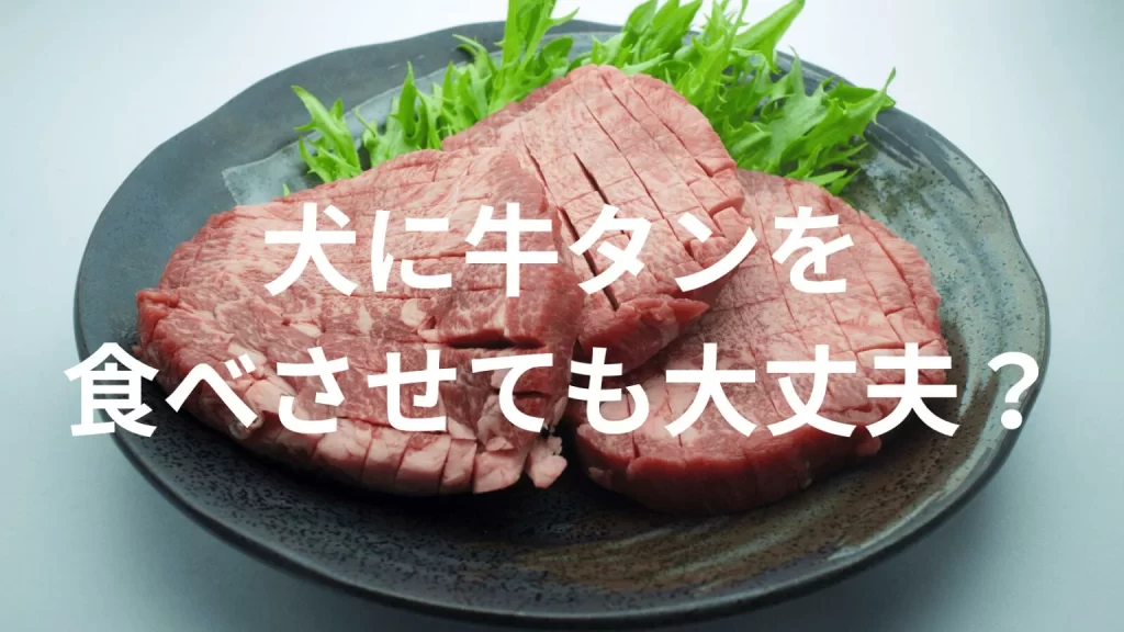 犬に牛タンを食べさせても大丈夫?犬は牛タンを食べていい?与える際の注意点を解説