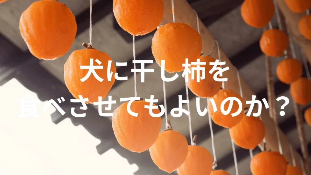 犬に干し柿を食べさせても大丈夫？犬は干し柿を食べていい？与える際の注意点を解説