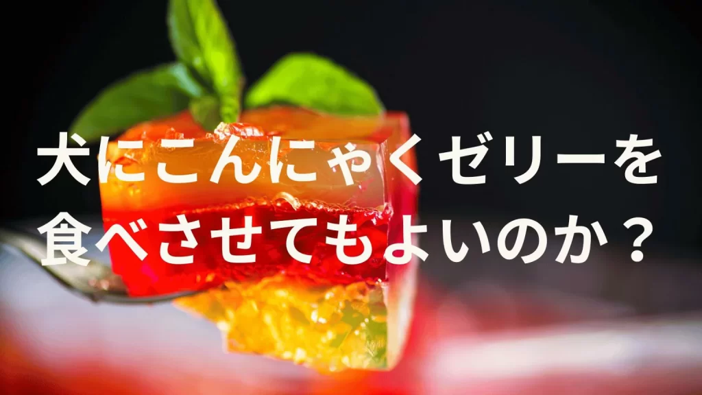 犬にこんにゃくゼリーを食べさせても大丈夫?犬はこんにゃくゼリーを食べていい?与える際の注意点を解説