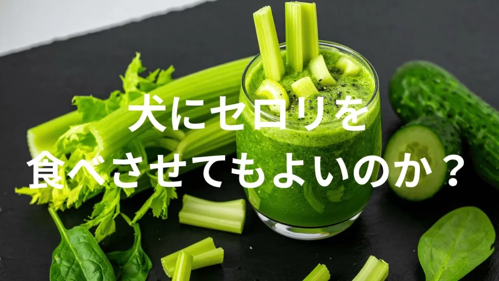 犬にセロリを食べさせても大丈夫？犬はセロリを食べていい？与える際の注意点を解説