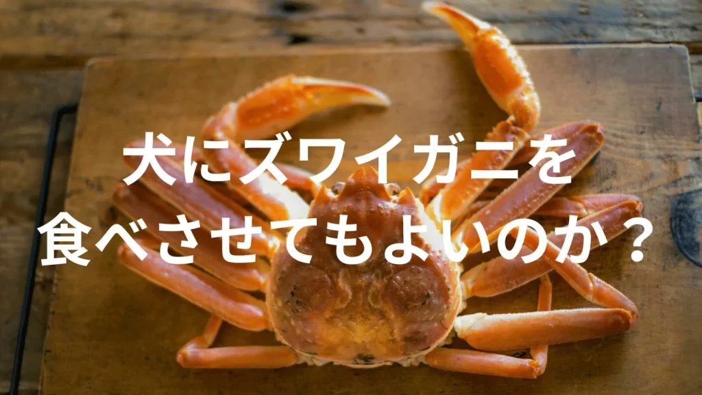 犬にズワイガニを食べさせても大丈夫？犬はズワイガニを食べていい？与える際の注意点を解説
