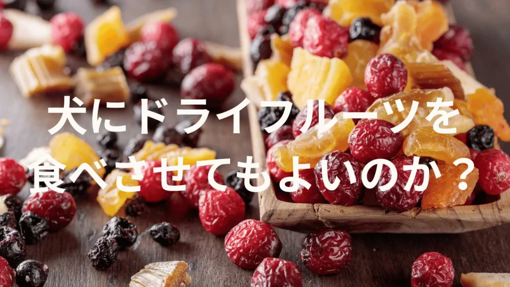 犬にドライフルーツを食べさせても大丈夫?犬はドライフルーツを食べていい?与える際の注意点を解説