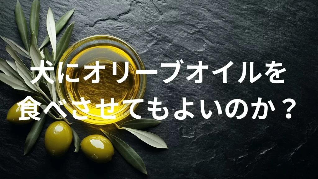 犬にオリーブオイルを食べさせても大丈夫？犬はオリーブオイルを食べていい？与える際の注意点を解説